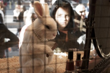 Cosmetic Brand “Lush” to Hold Event to Raise Awareness on Animal Testing