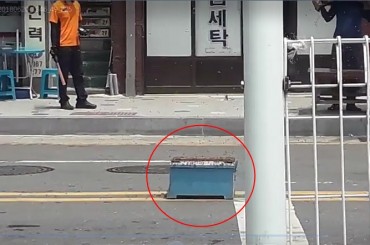 Bees Wreak Havoc on Sejong City Street