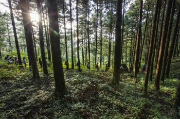 Nation’s Longest Walking Trail Traversing South Coast Opens