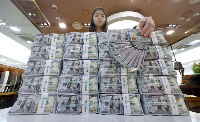 Foreign Reserves Down for 2nd Month in May on Decreased Deposits, Dollar’s Rise