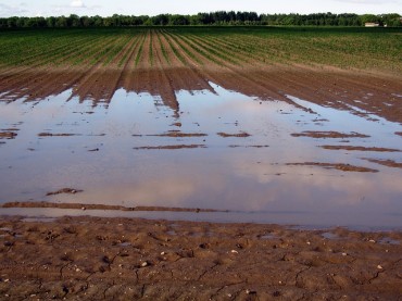 Court Orders Government to Compensate Farmers for Four-River Project Flooding