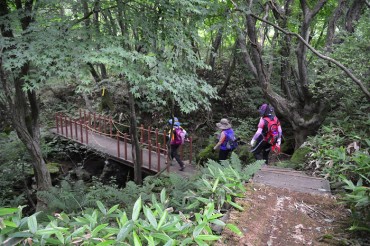 Urban Forests Decrease Symptoms of Depression by 18.7 pct