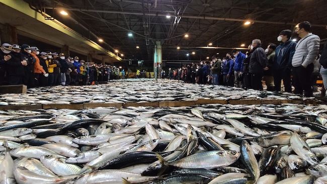 South Koreans Favor Mackerel as Their Top Seafood Choice