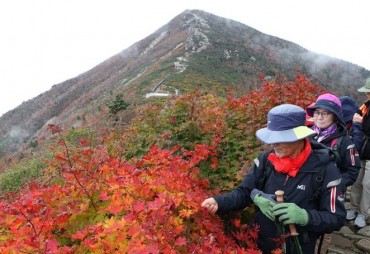 National Parks Introduce Programs for Zero-waste Hiking