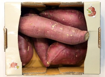 ‘Ugly’ Farm Produce Gains Positive Consumer Response